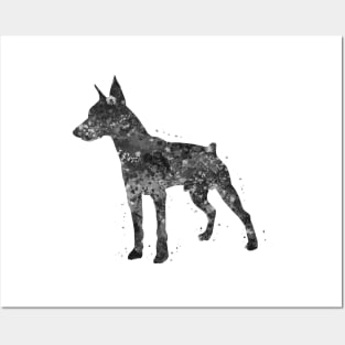 Doberman dog black and white Posters and Art